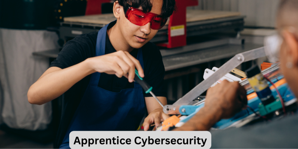 Apprentice Cybersecurity