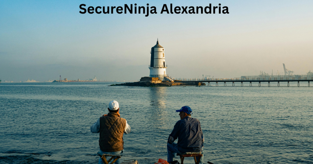 SecureNinja Alexandria