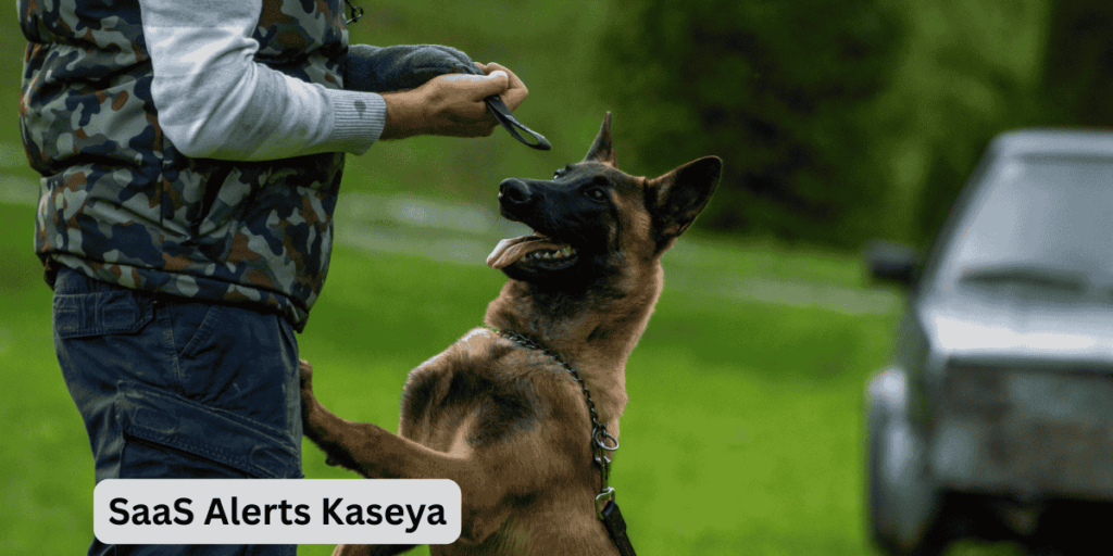 SaaS Alerts Kaseya