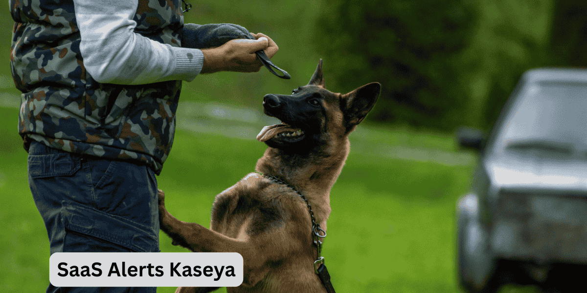 SaaS Alerts Kaseya – The Smart Security Move MSPs Can’t Afford to Miss