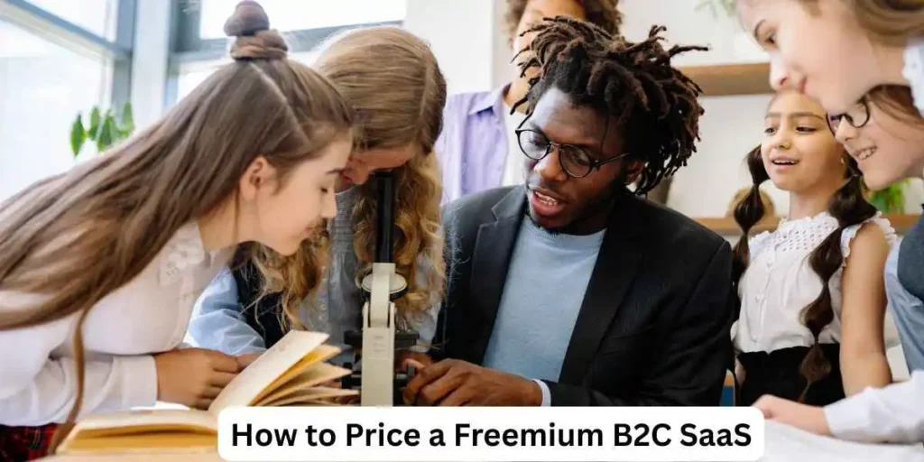 How to Price a Freemium B2C SaaS