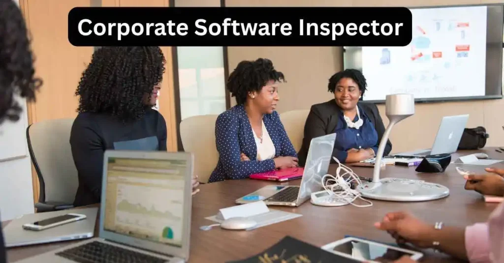 corporate software inspector